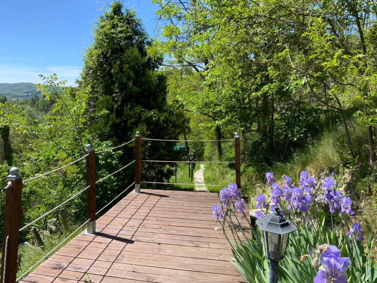 Verdmont Guest House Acqui Terme ภายนอก รูปภาพ