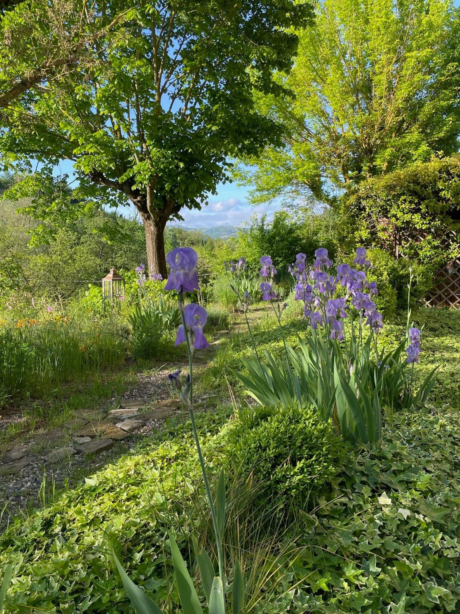 Verdmont Guest House Acqui Terme ภายนอก รูปภาพ