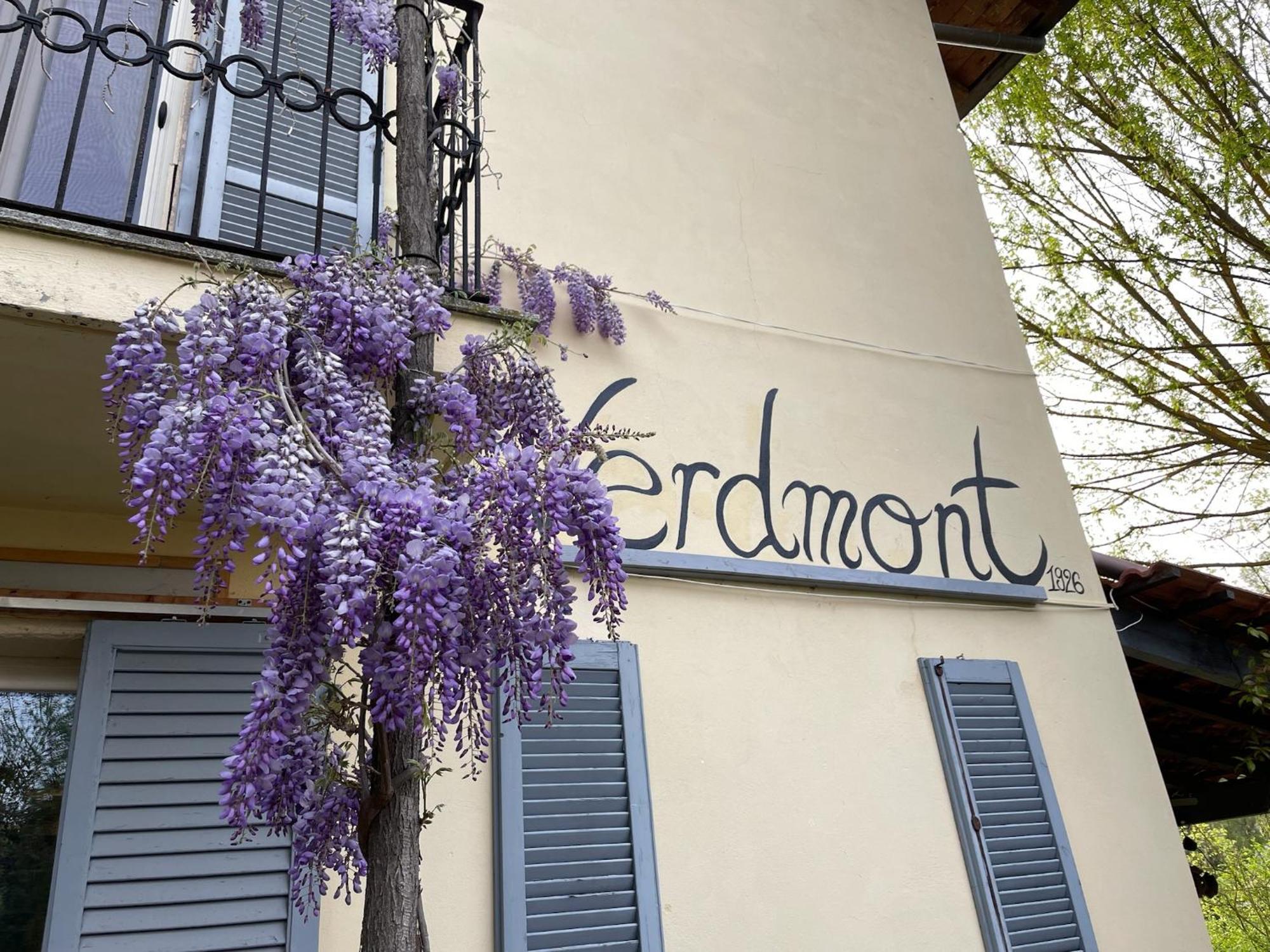 Verdmont Guest House Acqui Terme ภายนอก รูปภาพ
