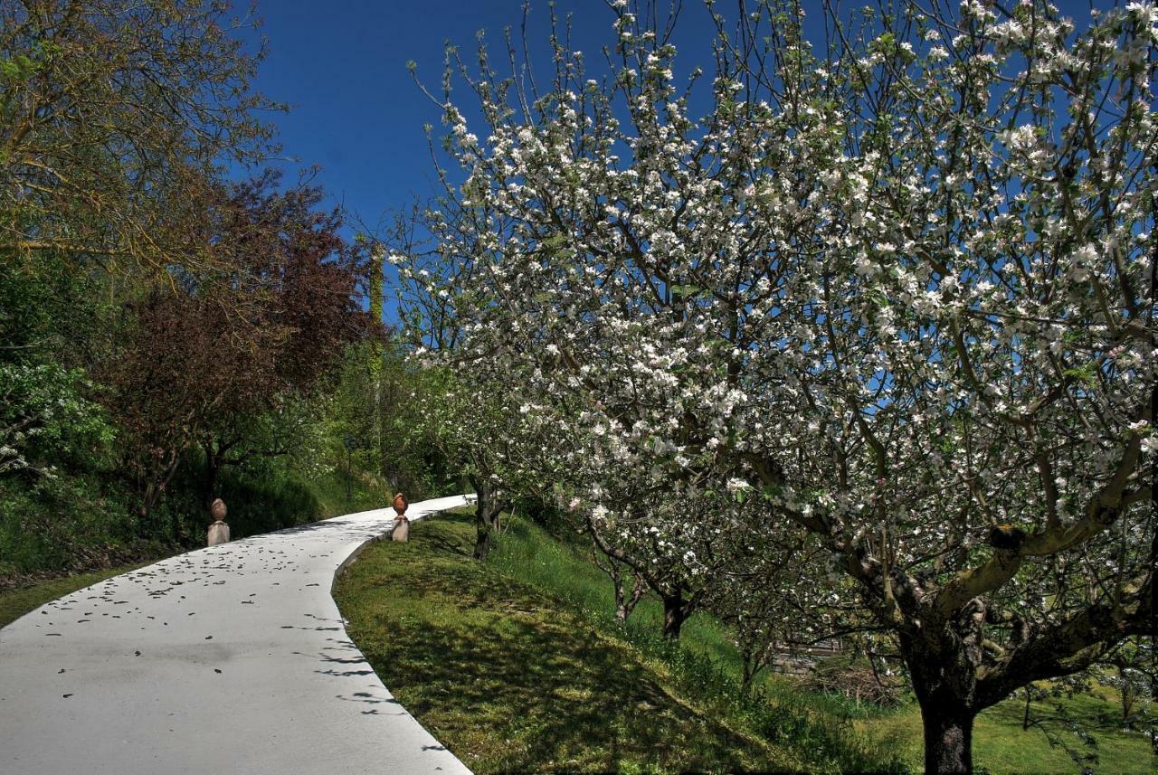 Verdmont Guest House Acqui Terme ภายนอก รูปภาพ